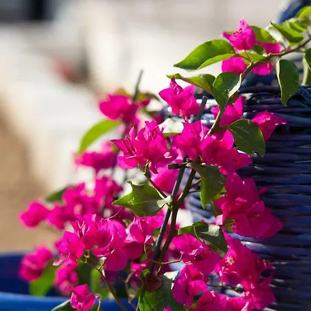 Aparthotel Persefoni Apartments&mezonetes 3*