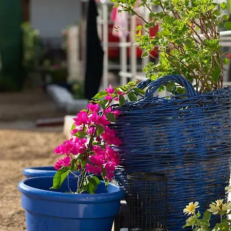 Persefoni & Mezonetes 3*