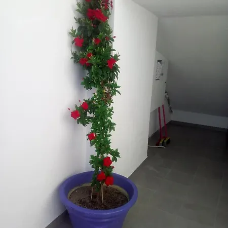 Persefoni & Mezonetes Apartahotel Toroni