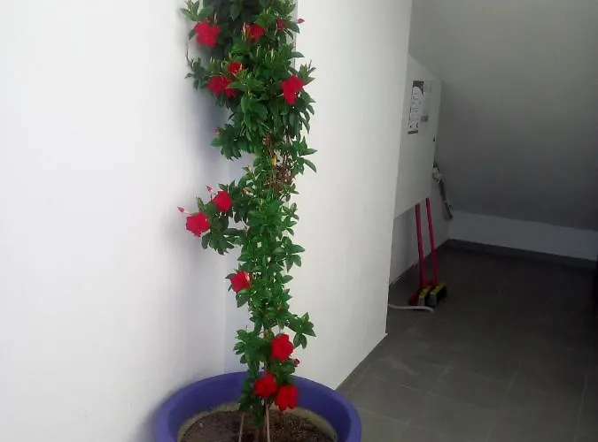 Persefoni & Mezonetes Apartmanhotel Toróni