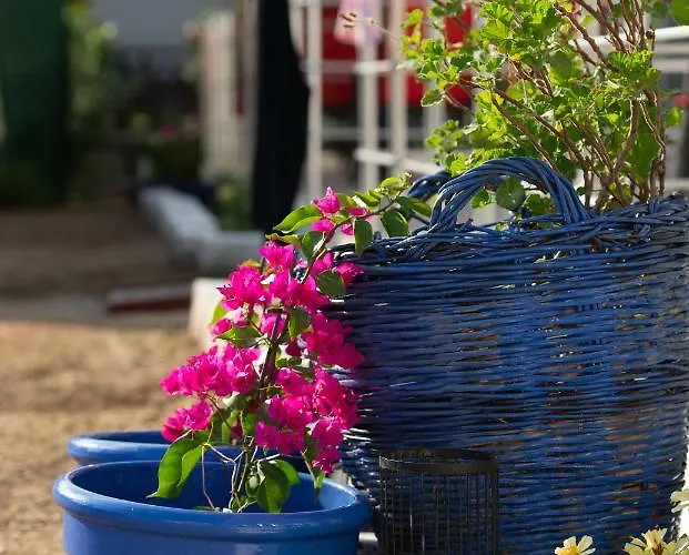 Persefoni & Mezonetes 3*